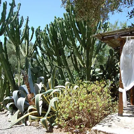 Duvai Mallorca