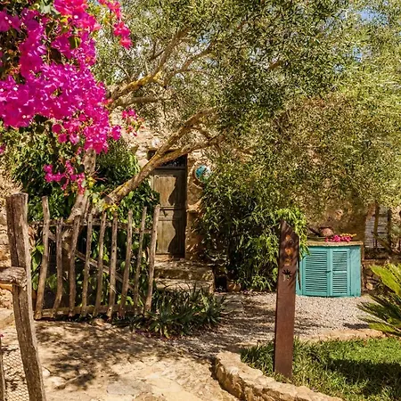 Duvai Mallorca アパートホテル 3*